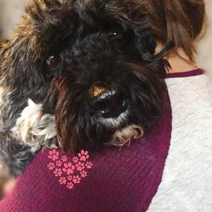 Meet your Posher, Sherry